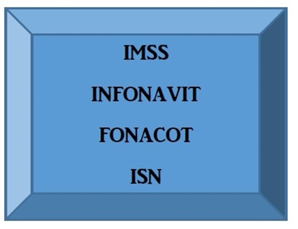 AF Registros imss