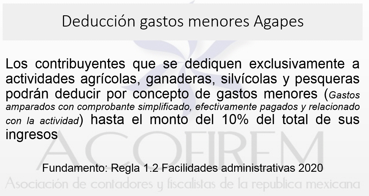 AGAPES gastos menores 2020