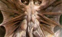 Avatar de William Blake